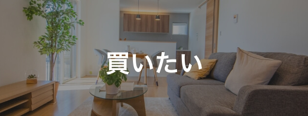 買いたい