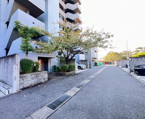 藤和浜寺公園ホームズ駅前通り　3690万　3LDK